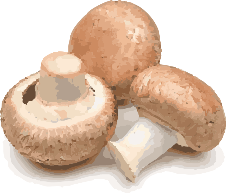 Champignon