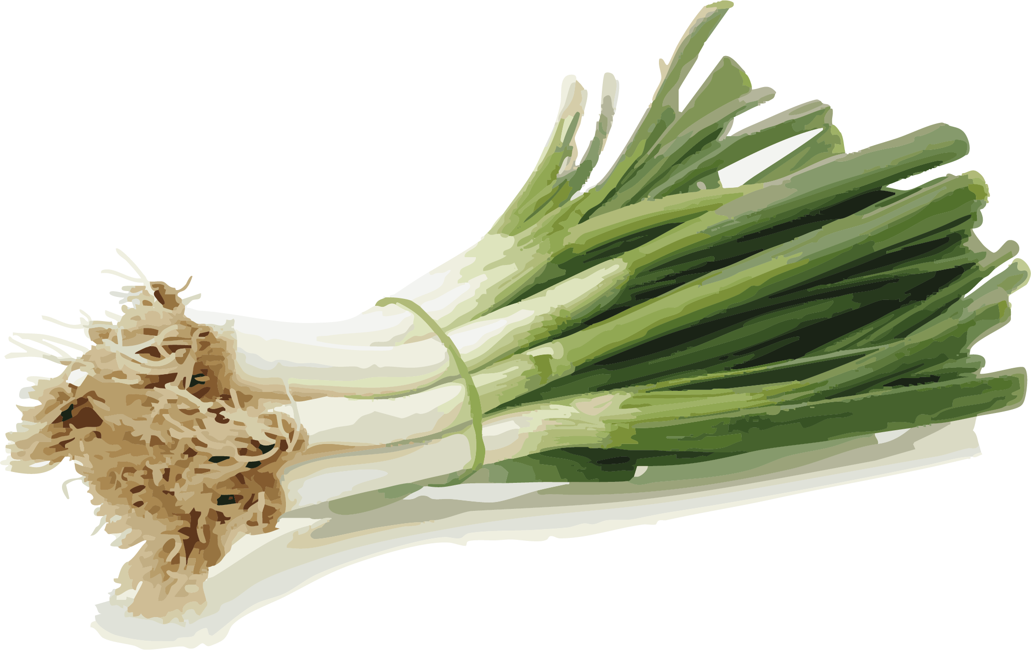 Poireaux